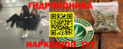 mdma Новозыбков