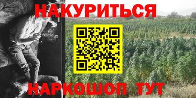 амф Новокубанск
