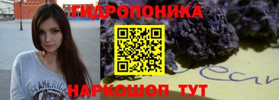 амф Новокубанск