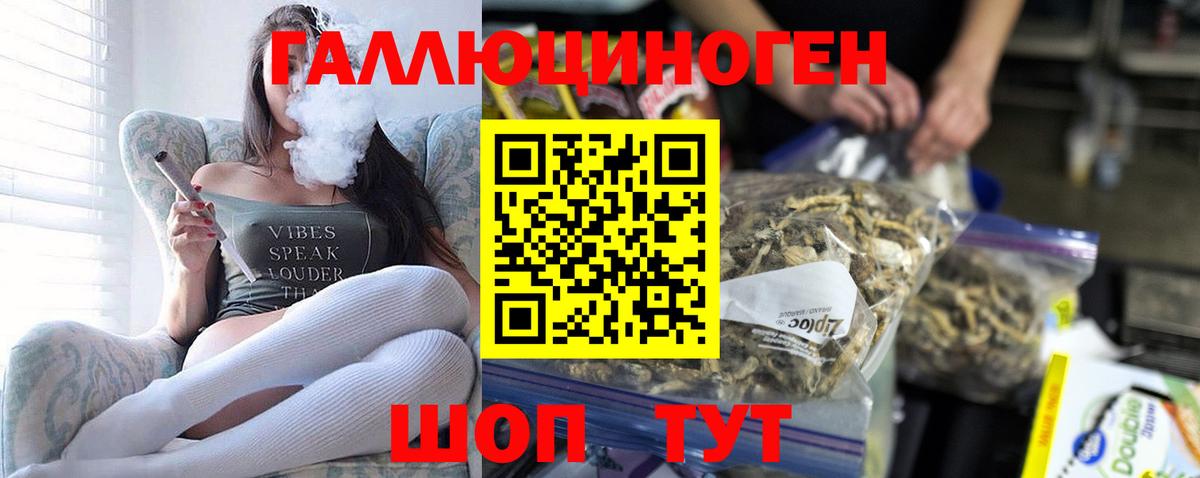 Электросталь  Галлюциногенные грибы MAGIC MUSHROOMS  Псилоцибиновые грибы мицелий  Вход с VPN 